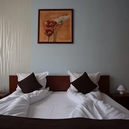 Apartament Budget Vip *